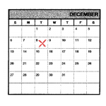 08_December